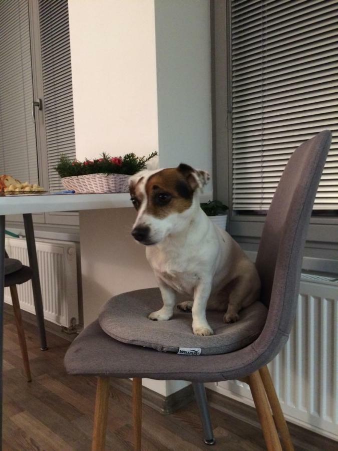Appartement Elf *