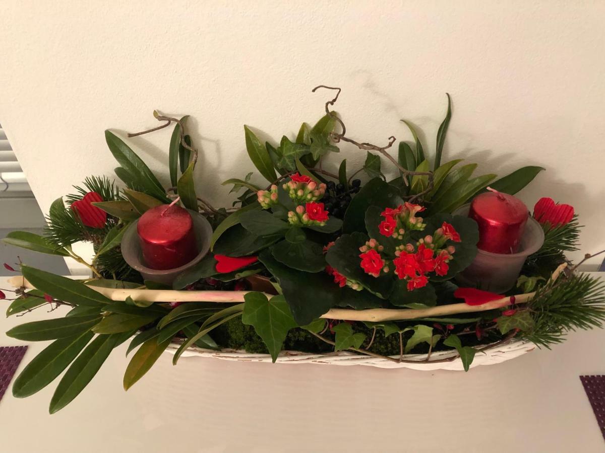 Elf Kolín